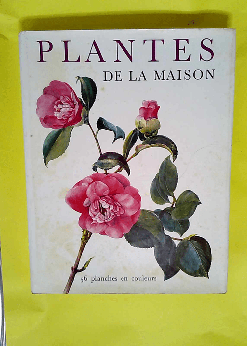 Plantes de la maison  – Jaroslav Oplt