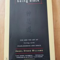 Being Black: Zen And The Art Of Living With Fearlessness And Grace – Angel Kyodo Williams