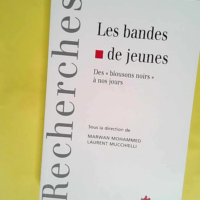 Les bandes de jeunes – Des  blousons no...