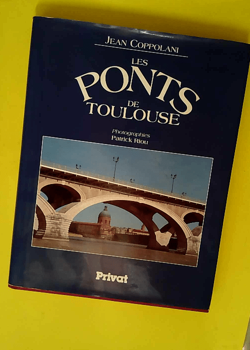 Les ponts de Toulouse  – Jean Coppolani