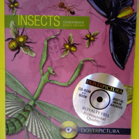 Insects  – Alan Weller