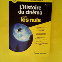 L histoire Du Cinéma Illustrée Pour Les Nul...