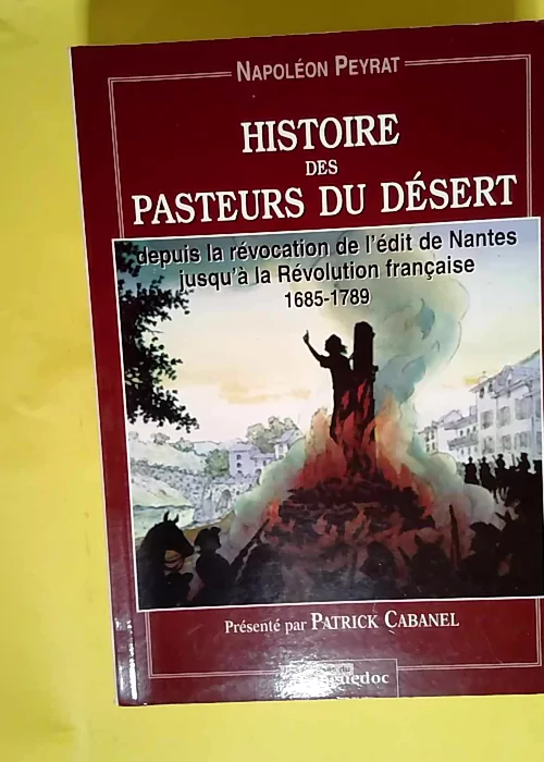 Histoire des pasteurs du Désert – Depu...