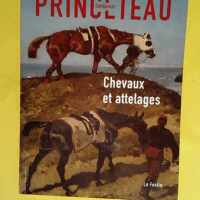 Gentleman Princeteau - Tome 1 Chevaux et attelages  - Marguerite Stahl