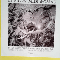 Le pic du midi d Ossau  - Vincent Dubourg