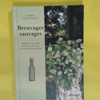 Breuvages sauvages - Pétillants vins kéfirs infusions smoothies ... avec des plantes sauvages  - Géraldine Lemaître Renault