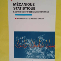 Mecanique Statistique Exercices Et Problemes Corriges - Belorizky
