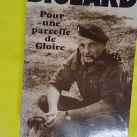 Pour une parcelle de gloire - Bigeard