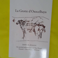 La Grotte D Xocelhaya - Jean-Daniel Larribau