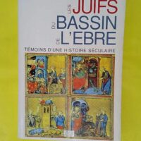 Les juifs du bassin de l ebre temoins dune histoire seculaire - Béatrice Leroy