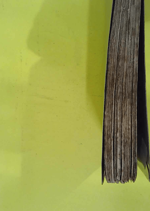 Le proces de jeanne d arc – BRASILLACH ... Le proces de jeanne d arc – BRASILLACH ...