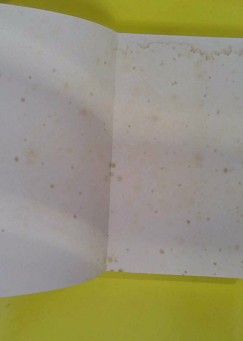 Hommes et choses du PLM Paris Lyon Méditerra... Hommes et choses du PLM Paris Lyon Méditerra...