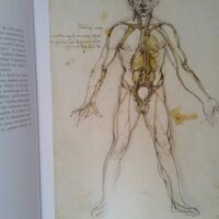 Léonard de Vinci. anatomie de l homme &#8211...