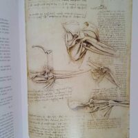 éonard de Vinci. anatomie de homme – éonard de Vinci éonard de Vinci. anatomie de homme – éonard de Vinci