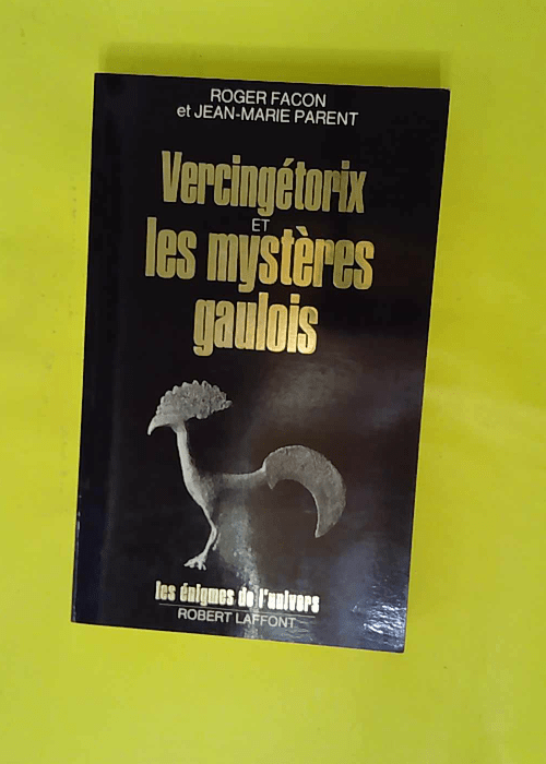 Vercingétorix et les mystères gaulois ̵... Vercingétorix et les mystères gaulois ̵...
