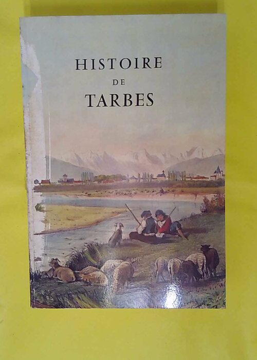 Histoire De Tarbes. – Histoire De Tarbes. –