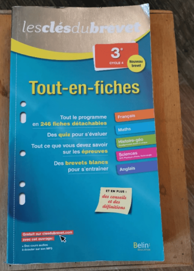 Tout En Fiches 3e - Medina Annabel