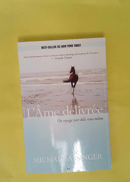 L Ame délivrée – Un voyage par-delà ... L Ame délivrée – Un voyage par-delà ...