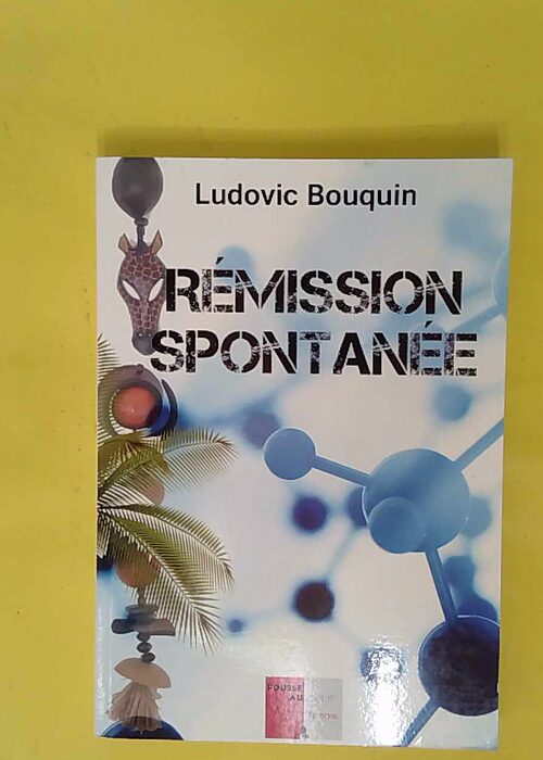 Rémission spontanée – Ludovic Bouquin Rémission spontanée – Ludovic Bouquin