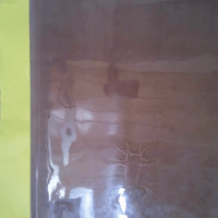 LE CHASSEUR AU CHIEN D ARRET – ILLUSTRE BEUVILLE – CHASSE BLAZE LE CHASSEUR AU CHIEN D ARRET - ILLUSTRE BEUVILLE - CHASSE BLAZE