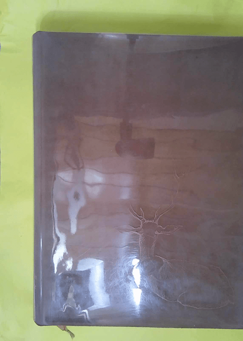 LE CHASSEUR AU CHIEN D ARRET – ILLUSTRE BEUVILLE – CHASSE BLAZE LE CHASSEUR AU CHIEN D ARRET – ILLUSTRE BEUVILLE – CHASSE BLAZE