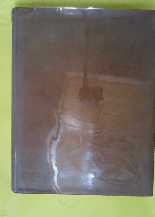 La Chasse aux grands fauves – Illustrations originales de Reboussin –… La Chasse aux grands fauves – Illustrations originales de Reboussin –…