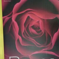 Roses – Natalia Fedeli Roses - Natalia Fedeli