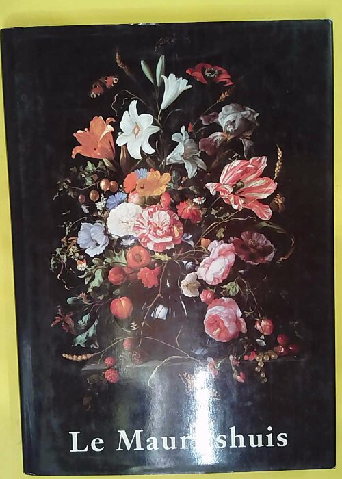 Le mauritshuis – la haye – Ben Broos Le mauritshuis – la haye – Ben Broos