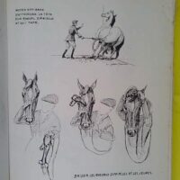 Cheval mon cher souci – Croquis égendé Sur Les Soins Aux Chevaux – Y… Cheval mon cher souci – Croquis égendé Sur Les Soins Aux Chevaux – Y…