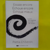 Essaie encore échoue encore échoue mieux - Conseils de sagesse pour aller de l avant - Pema Chödrön