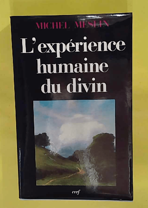 Expérience Humaine Du Divin – Michel... Expérience Humaine Du Divin – Michel...