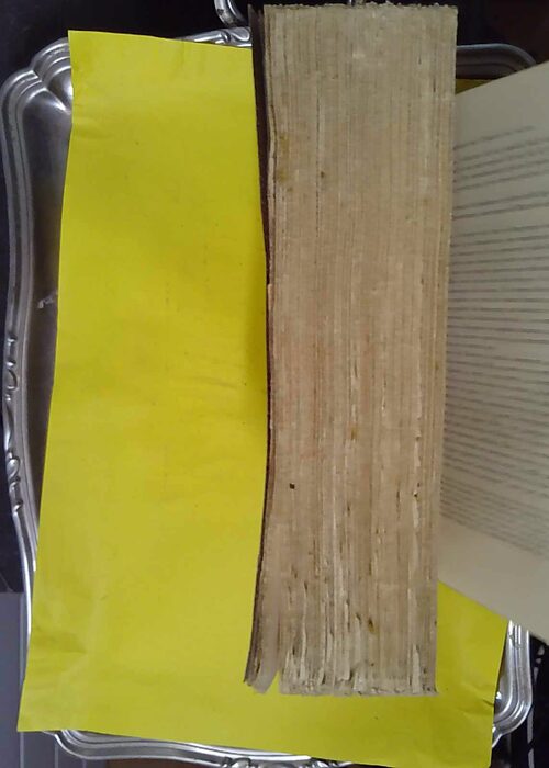 Autour de Dante : Les Béatrices. I: amour et la femme en Occitanie II: amour et … Autour de Dante : Les Béatrices. I: amour et la femme en Occitanie II: amour et …