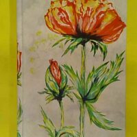 Le Secrétaire galant contenant des modèles de correspondance galante demandes de mariage et un guide pour toutes les formalités et les cérémonies par Léon Joliet - Léon Joliet