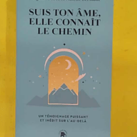 Suis ton âme elle connaît le chemin - Un témoignage puissant et inédit sur l au-delà - Virginie Bobée