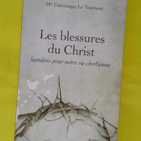 Les blessures du Christ lumières pour notre vie chrétienne - Dominique Le Tourneau