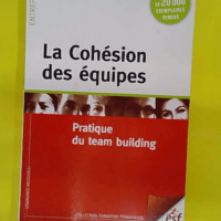 La cohésion des équipes - Pratique du team building - Pierre Cauvin