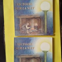 Victoire sur la nuit - Histoire de l'éclairage haut-pyrénéen de la tède au néon - 2 Volumes - Georges Bouche (Association Livres en Bigorre) - photo de l'exemplaire d'occasion