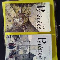 Les Pyrenees Au XIXe Siecle - Une société en dissidence - 2 Volumes - Tome 1 Organisation Sociale Et Mentalités -- Tome 2 Une Société En Dissidence - Soulet, Jean-François