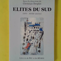 Elites du Sud (XIVe - XVIIIe siècles) - Aquitaine, Languedoc, Aragon, Navarre Statuts Juridiques et Pratiques Sociales - sous la direction de Christian Desplat