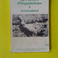 La Palombe d'Orgambideska à Arratzolatzé