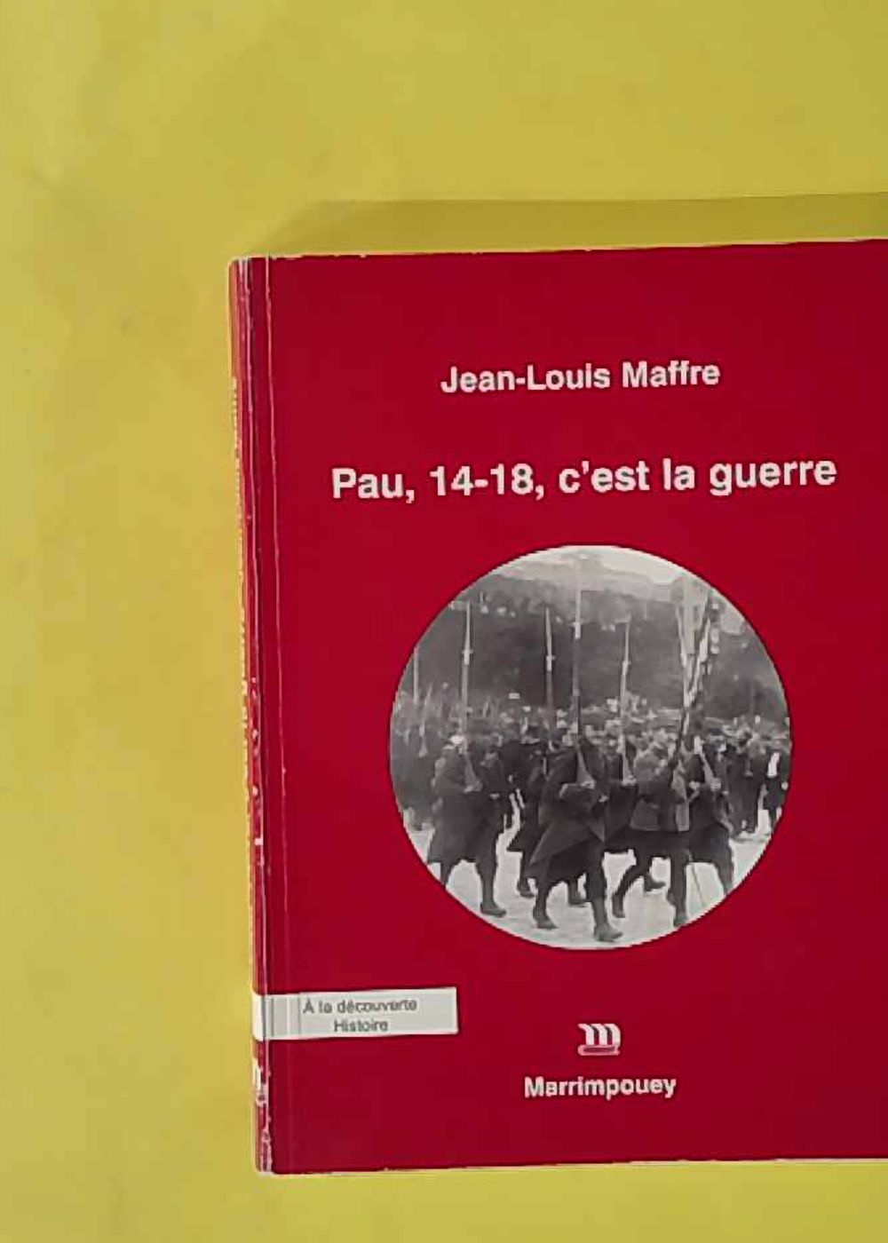 Pau, 14-18, c'est la guerre - Jean-Louis Maffre