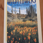 Wildflowers of the Desert Southwest – Meg Quinn