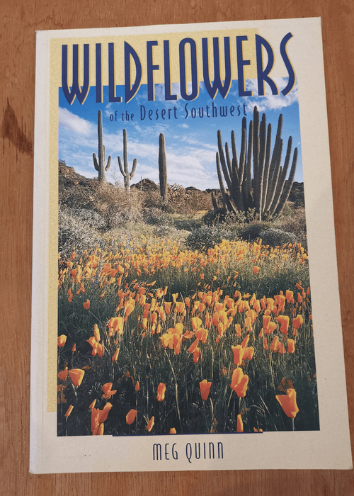 Wildflowers of the Desert Southwest – Meg Quinn