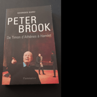 Peter Brook : De Timon d’Athènes à Ha...