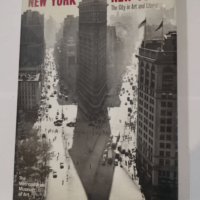 New York New York: The City in Art and Litera...