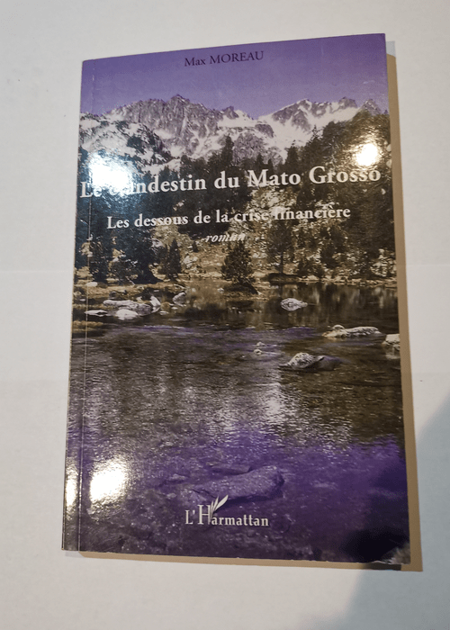 Clandestin du Mato Grosso les Dessous de la Crise Financiere Roman – Max Moreau