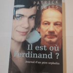 Il est où Ferdinand?: Journal d’un père orphelin – Patrick Chesnais