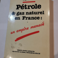 Pétrole et gaz naturel en France: Un empire menacé – Tome 1 – G. Di Meo