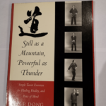 Still As a Mountain Powerful As Thunder: Simple Taoist Exercises for Healing Vitality and Peace of Mind – Y.P. Dong