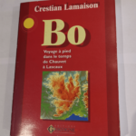 Bo – voyage à pied dans le temps de Chauvet à Lascaux – Espaces Nationaux et Identites Regionales – Christian Lamaison